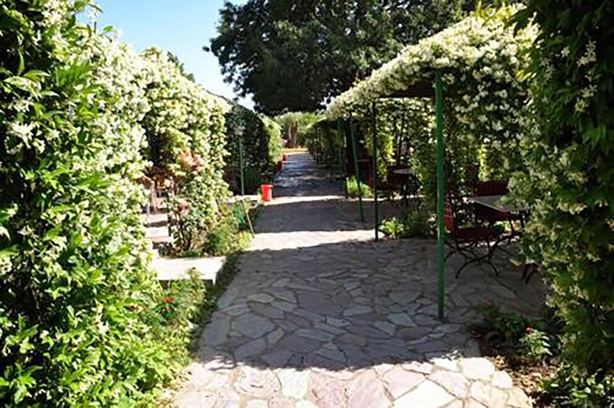 Buna Park Hotel Shkodër エクステリア 写真